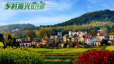 合肥高新区南岗科技园：科创驱动高质量发展