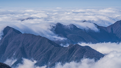 黄山云海 水墨画境