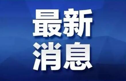 干部任前公示公告