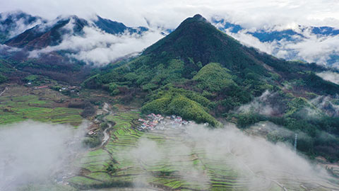 安徽旌德：雲繞梯田 難掩青綠