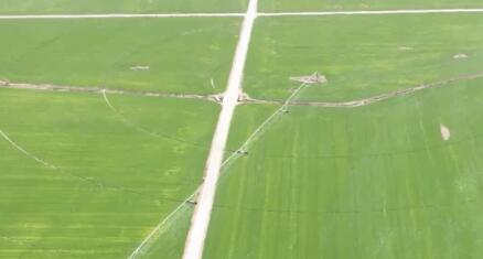 新华全媒+丨保障就位干劲足——多地春耕一线扫描