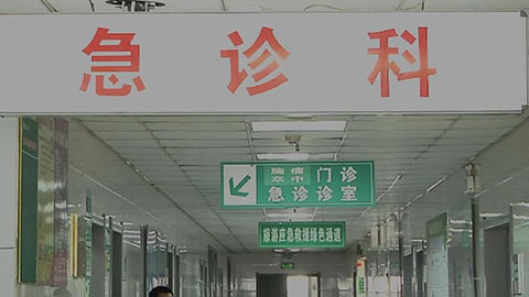 人民力量丨护士陈燕：最大的职责就是守护人们的健康