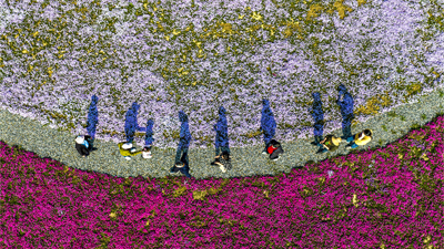 【“飞阅”中国】春游田园正当时