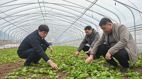 【图片故事】老闫的“二次创业”